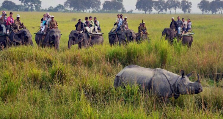 National Parks in India