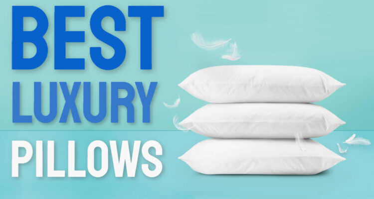 best luxury pillows in india