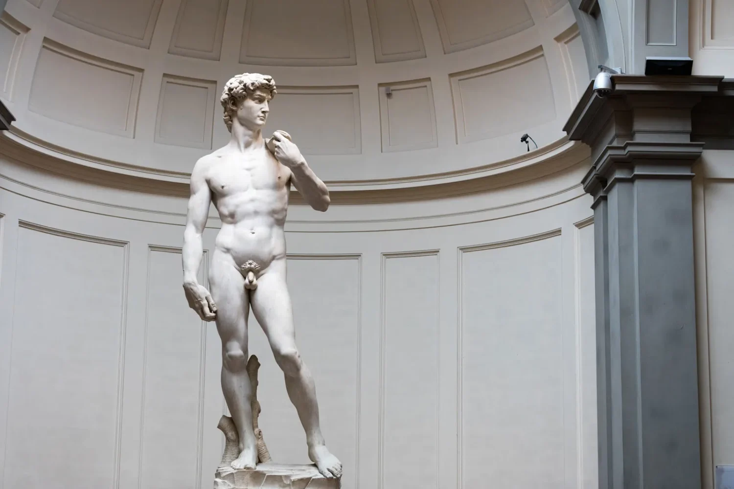 Michelangelo's David